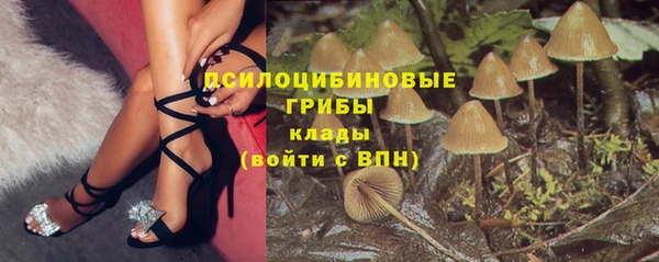PSILOCYBIN Краснотурьинск