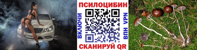 Галлюциногенные грибы мицелий  это наркотические препараты  Подпорожье 